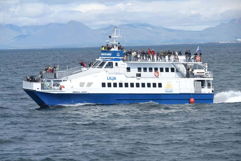 Akureyri: Whale Watching Shore Excursions - Who will enjoy this most?