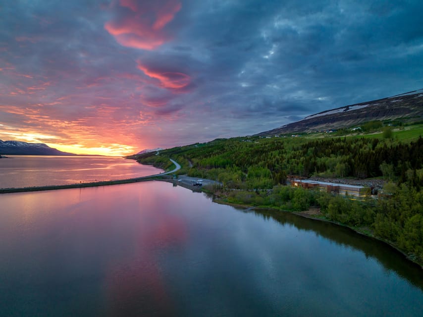 Akureyri: Whale Watching Tour & Forest Lagoon Entrance - What whale watching can and cannot promise