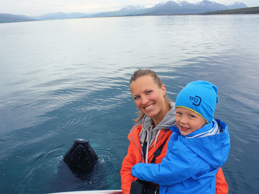 Árskógssandur: Whale-Watching Boat Trip - Key points at a glance