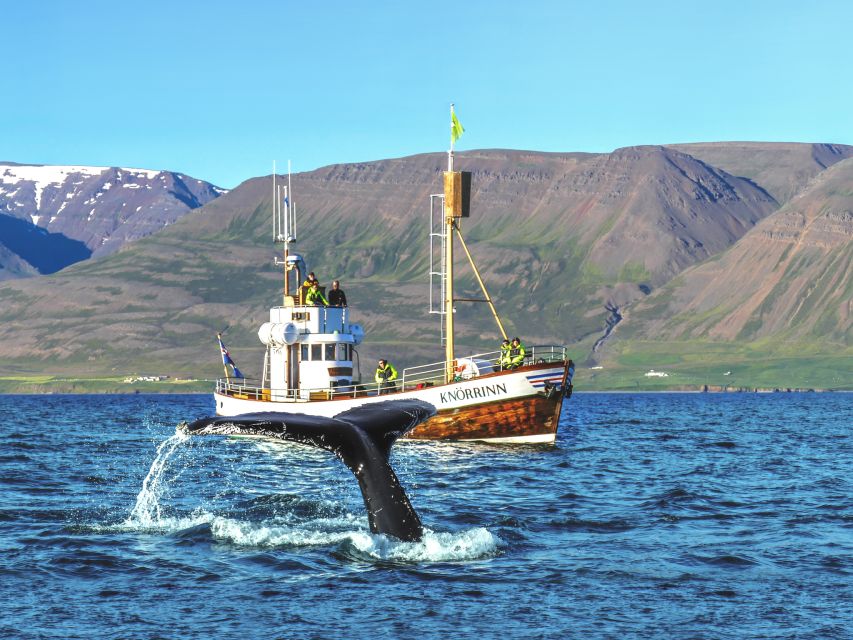 Árskógssandur: Whale-Watching Boat Trip - The two-and-a-half-hour route into Eyjafjörður