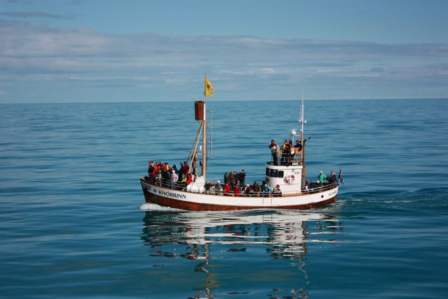 Árskógssandur: Whale-Watching Boat Trip - Hot chocolate and cinnamon buns on the return