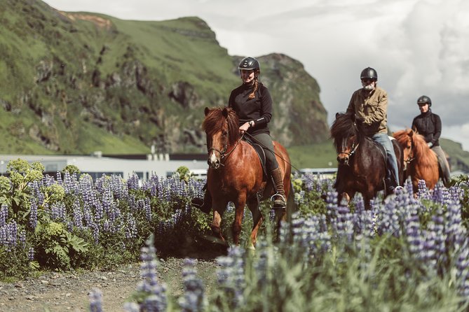 Black Sand Beach Horse Riding Tour from Vik - Key points at a glance