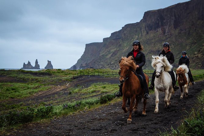Black Sand Beach Horse Riding Tour from Vik - Why riding an Icelandic horse changes the beach view