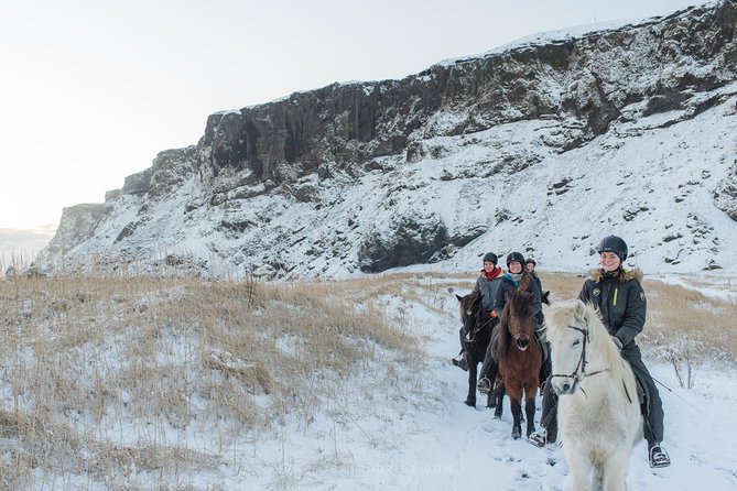 Black Sand Beach Horse Riding Tour from Vik - Guides who make nervous riders feel at ease