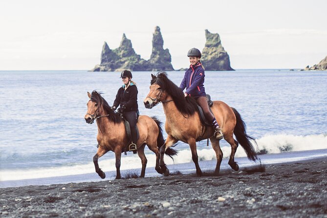 Black Sand Beach Horse Riding Tour from Vik - Price, group size, and who gets good value