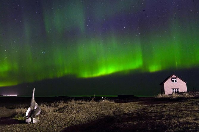 Blue Lagoon and Northern Lights Tour Including Admission - Is $228.87 good value?