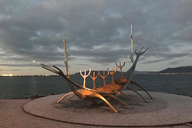 Blue Lagoon & Reykjavík Sightseeing - PRIVATE TOUR - The guide makes or breaks the city portion