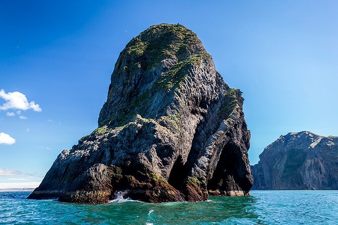 Boat Tour in Vestmannaeyjar - Sailing Around Heimaey’s Volcanic Coast