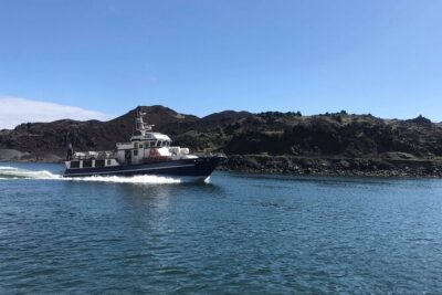 Boat Tour in Vestmannaeyjar