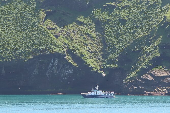 Boat Tour in Vestmannaeyjar - Is $114.65 a Fair Price?