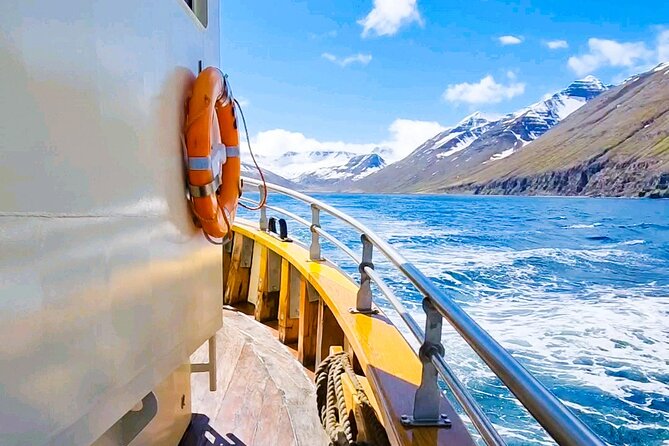 Boat Tours from Siglufjörður - Why see Siglufjörður from the sea?