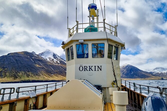Boat Tours from Siglufjörður - Old Siglunes and the edge of the fjord