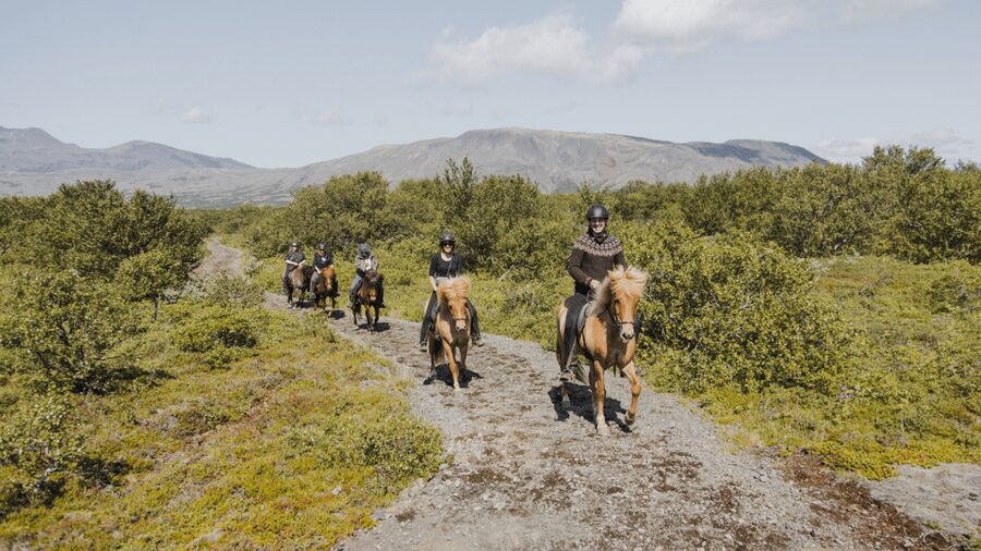 Borgarnes: Horseback Riding Tour with Prep Lesson - Arriving at Hestaland from Borgarnes