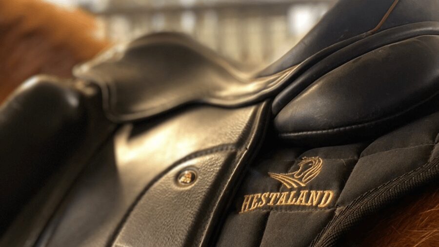 Borgarnes: Horseback Riding Tour with Prep Lesson - Meeting an Icelandic horse