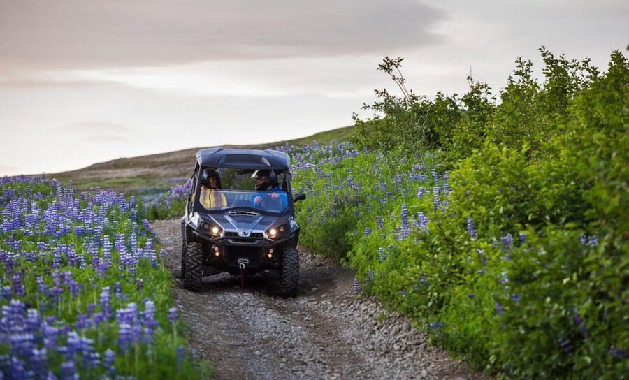 Buggy & Sky Lagoon tour - Who should book this day?