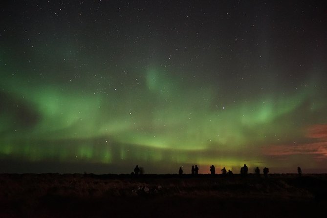 Chasing Aurora Borealis with Warmth and Treats in Premium Tour! - The real value of the $249 price
