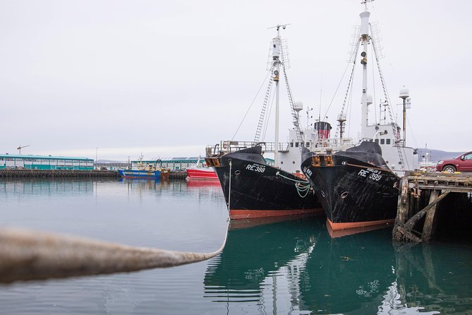 City Sightseeing Reykjavik Hop-On Hop-Off Bus Tour: 24 or 48-Hour - Laugardalur, the harbour, and the final stops