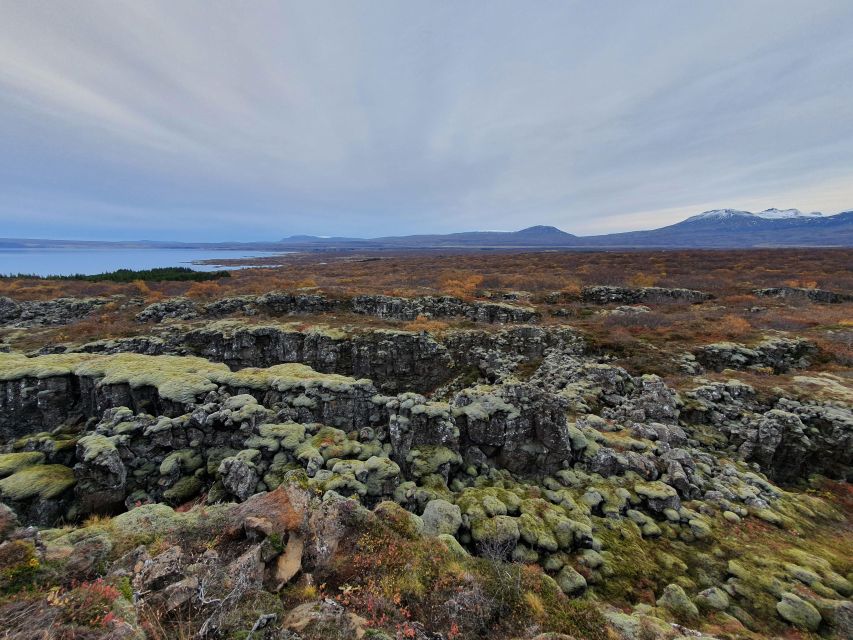 Classic Golden Circle - Full Day Private Tour from Reykjavik - Efstidalur II or Friðheimar for a local food break