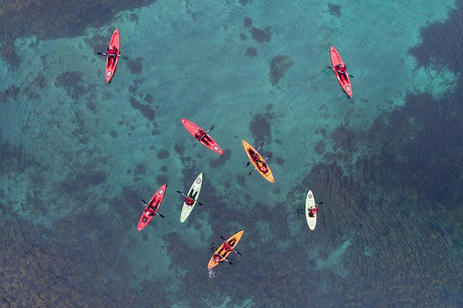 Classic Kayaking Adventure by Mt. Kirkjufell - Seals, puffins, and the luck of the day