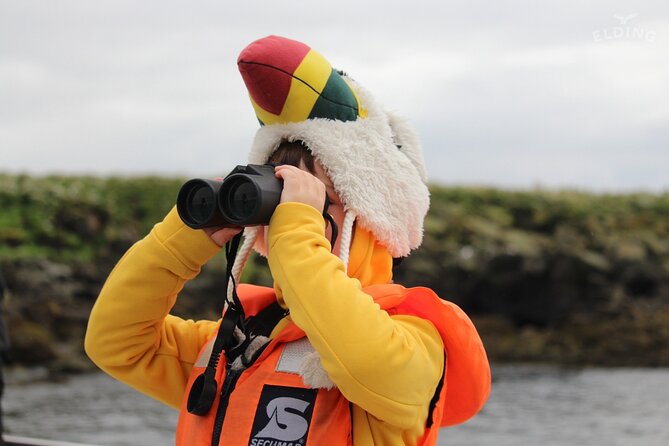 Classic Puffin Watching Cruise from Downtown Reykjavík - Reykjavík views on the way out and back