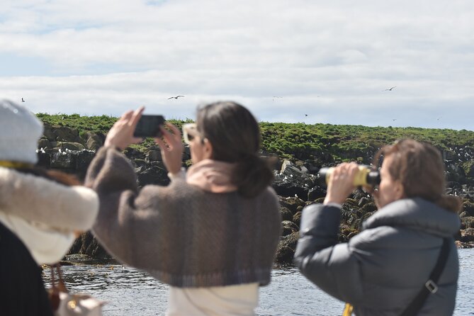 Classic Puffin Watching Cruise from Downtown Reykjavík - Why Reykjavík’s puffin islands matter