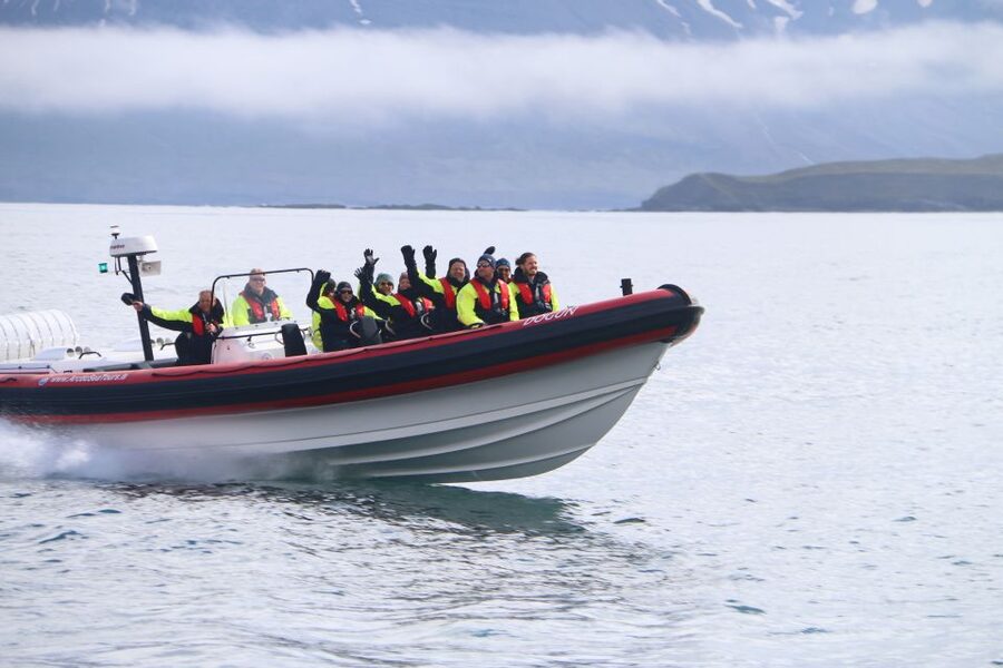 Dalvík: Whale Watching Speedboat Tour - The first 30 minutes across Eyjafjordur