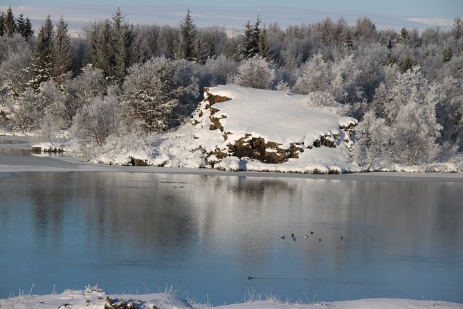 Day Trip to Lake Mývatn And The Nature Baths from Akureyri - Hverir, steam and sulfur near the road