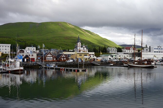 Diamond Circle Private Full Day Tour with Pickup - Vesturdalur reveals northern Iceland’s basalt shapes