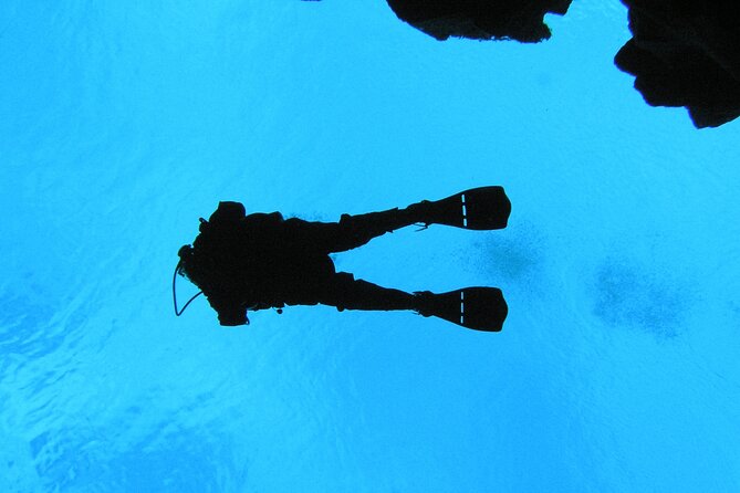 Dive the Divide: Silfra Fissure Scuba Tour | Meet at Thingvellir - The physical work begins before you enter the water