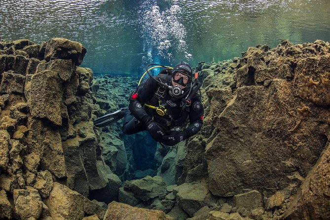 Dive the Divide: Silfra Fissure Scuba Tour | Reykjavik Pickup - How the small group affects the day
