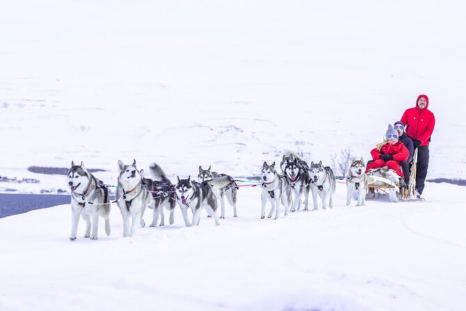 Dog Sledding Tour near Akureyri - Arriving at goHusky near Akureyri