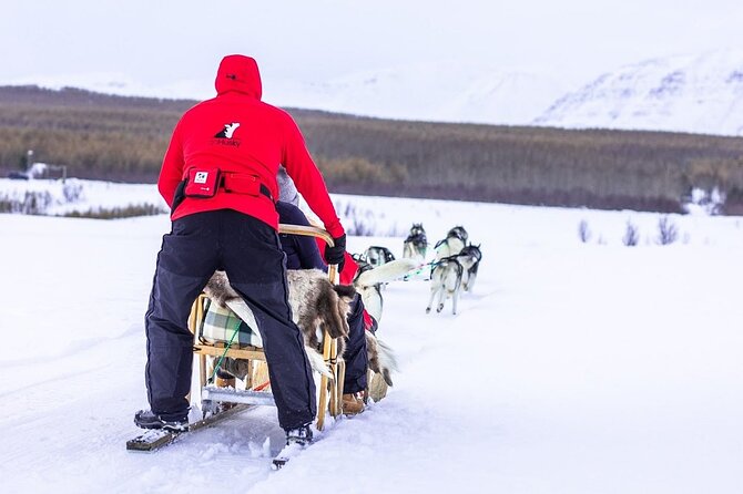 Dog Sledding Tour near Akureyri - Is two hours enough?