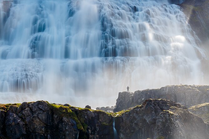 Dynjandi Waterfall & Iceland Farm Visit Tour - Why this Westfjords outing is worth considering