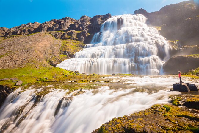 Dynjandi Waterfall & Iceland Farm Visit Tour - Who will enjoy this tour most?
