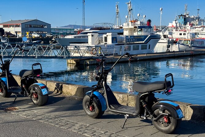 E-Scooter Rental - Explore Reykjavík on your own - Reaching Harpa Concert Hall and the Sun Voyager