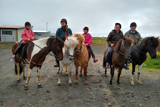 Experience Countryside of Iceland by Horseback Riding - Pickup from Reykjavik and the meeting point