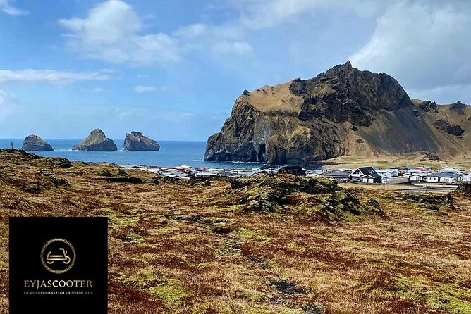 Eyjascooter volcano tour in Westman Island - Puffins Close to the Cliffs