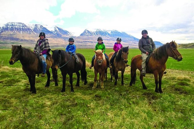 Family Friendly Horse Riding Tour in Skagafjörður - Why Skagafjörður is a fine place to ride