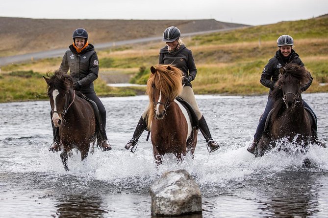 Family Friendly Horse Riding Tour in Skagafjörður - Getting matched with an Icelandic horse
