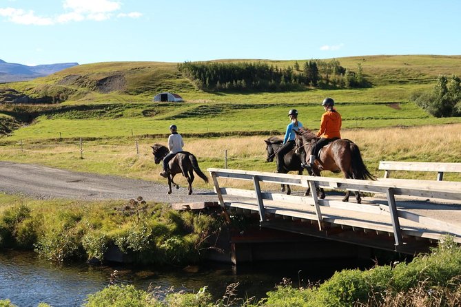 Family Friendly Horse Riding Tour in Skagafjörður - Why beginners and families are well served