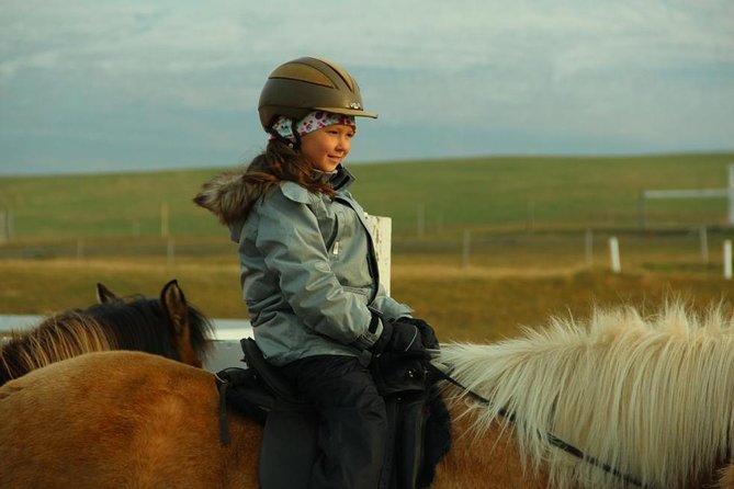 Family Friendly Horse Riding Tour in Skagafjörður - Is $90.05 a fair price?