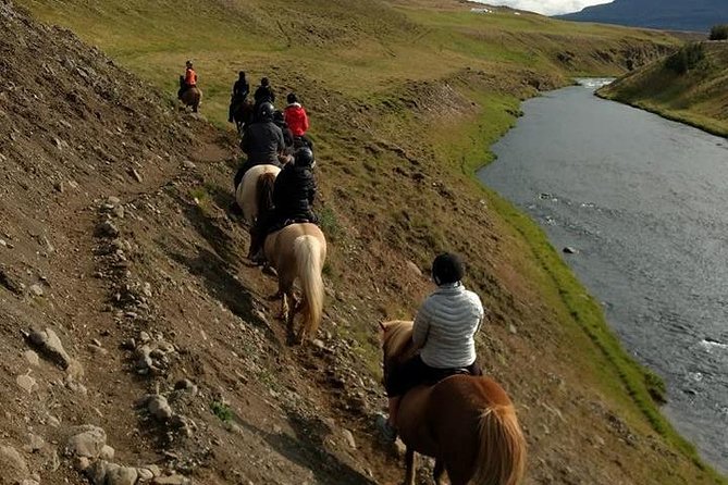 Family Friendly Horse Riding Tour in Skagafjörður - What could disappoint you