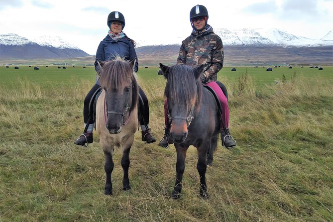 Family Friendly Horse Riding Tour in Skagafjörður - Practical details before you book