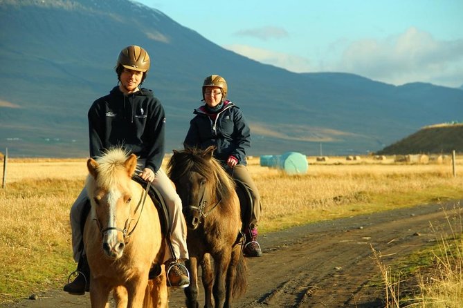Family Friendly Horse Riding Tour in Skagafjörður - What the one-hour route includes