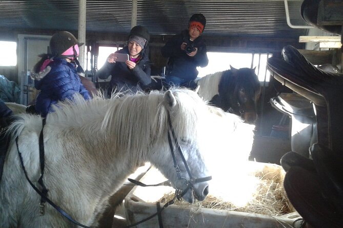 Family Horse Riding Tour in Thorlakshofn - Key details to know before booking