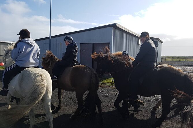 Family Horse Riding Tour in Thorlakshofn - Krýsuvík’s lava fields and distant steam