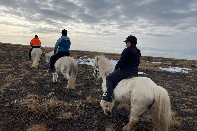 Family Horse Riding Tour in Thorlakshofn - Reliability and recent condition concerns