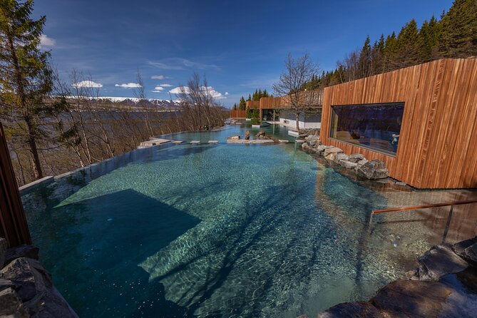 Forest Lagoon and Northern Lights Guided Night Tour - What the Northern Lights search can deliver