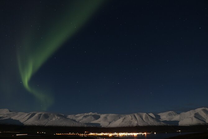 Forest Lagoon and Northern Lights Guided Night Tour - How much value do you get for $176?
