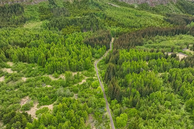 Forest Lagoon Ebike Tour Akureyri - Why this tour works so well in Akureyri